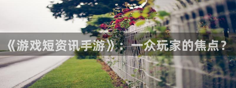 优贝娱乐代理登陆：《游戏短资讯手游》：一众玩家的焦点？