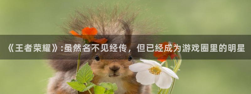 优贝娱乐官方注册登录：《王者荣耀》:虽然名不见经传，但已经成