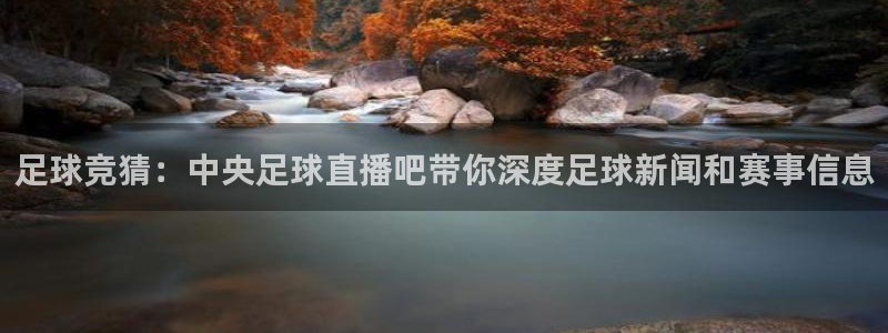 下载松鼠电视直播：足球竞猜：中央足球直播吧带你深度足球新闻和赛事信息