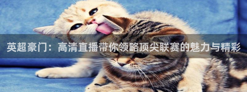 松鼠看球直播：英超豪门：高清直播带你领略顶尖联赛的魅力与精彩