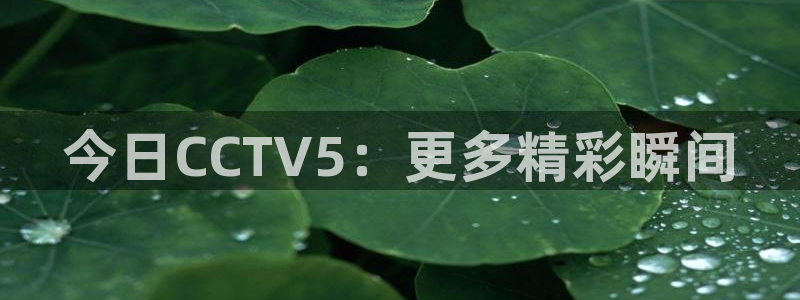 松鼠官方网站：今日CCTV5：更多精彩瞬间