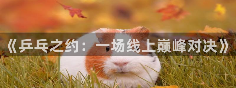 松鼠宝贝体育