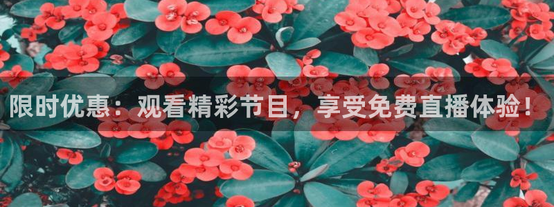 松鼠平台：限时优惠：观看精彩节目，享受免费直播体验！